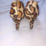 wedges Image 3