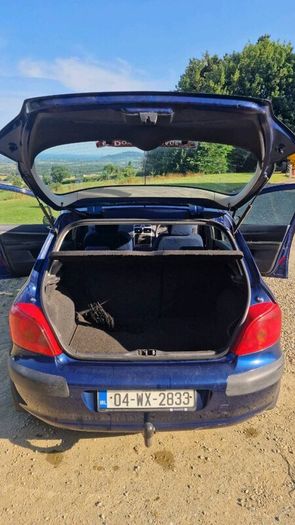 Peugeot 307 1.4 2004