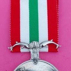 International Submarine Service Medal 1960's