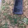 Toyota MR2 radiator Image 5
