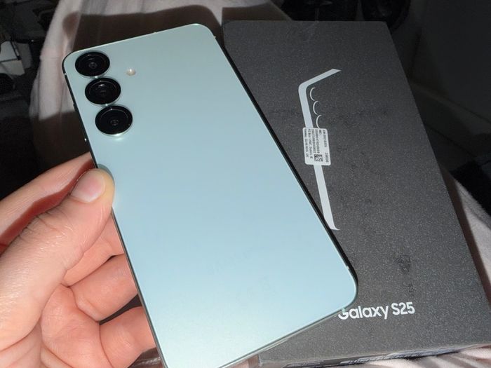 Galaxy S25 256GB Mint