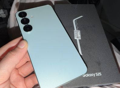 Galaxy S25 256GB Mint