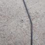 Toyota Corolla E11 97-02 Bonnet Prop Stay Strut Image 2