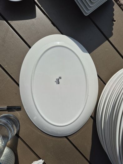crockery 12 inch steak plates