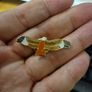 Vintage Eagle Pin. European Red Kite Raptor Bird Vintage Enamel Lapel Cap Pin Badge. Image 5