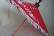 Asian parasol/umbrella