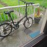Adult bike  folding bike Image 3