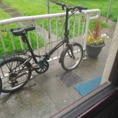 Adult bike  folding bike