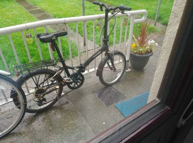 Adult bike  folding bike