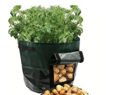 1 X 26L Potato / Vegetable Grow Bag with Flap