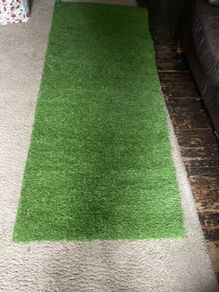 artifical grass