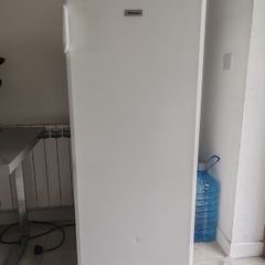 Large Stand Alone Chest Freezer
