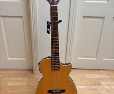 PRICE DROP-Crafter Slimline Electro Classical Guitar + Hard Case