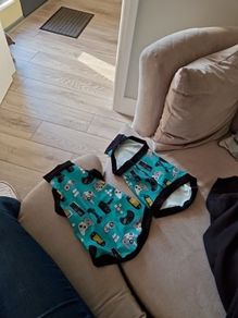 Gamer Cat or Dog Sweater / Clothing