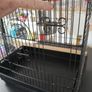 Bird cage Image 10