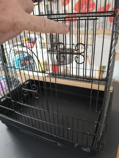 Bird cage