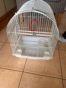 bird cage