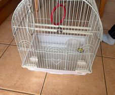 bird cage