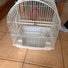 bird cage