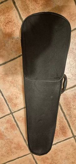 Thomann Dark Meadow Violin 4/4 with case