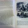 Ireland from the Great Famine to the treaty of 1921 Irish history Image 3