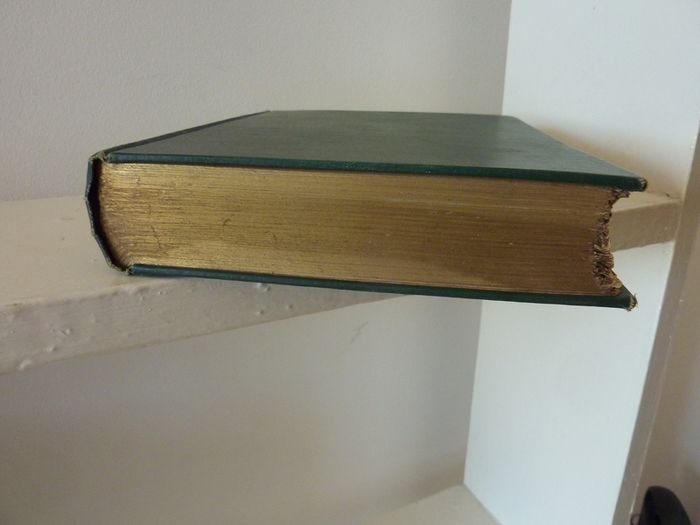The Wind in the willows (book)