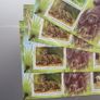Ireland 1998.Endangered Animals.MNH.Four Different Sheetlets. Image 3