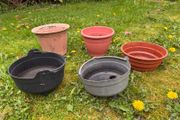 Selection of garden pots