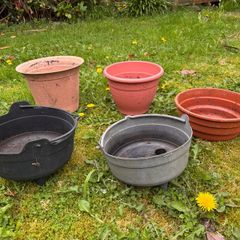 Selection of garden pots