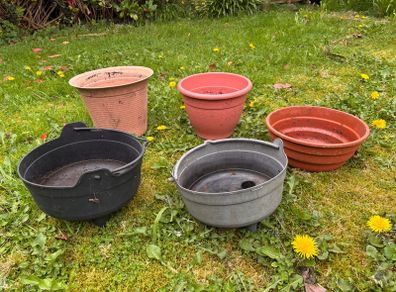Selection of garden pots