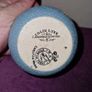Antique Carlton Ware match strike - Corpus Christi crest Image 4
