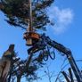 Grapplesaw Image 3