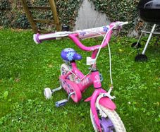 12 inch Suzy bike Pink