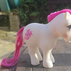 March Daffodil Birthflowwr Birth flower ponies Mail Order MO HTF Rare US MLP G1 My Little Pony