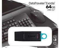 usb key Kingston 64GB Exodia USB 3.2 Gen 1 Flash Drive - DTX/64GB