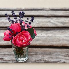 Pink Roses & Lavender Canvas Floral Wall Art