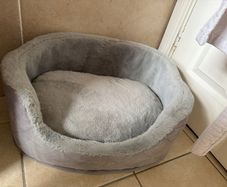 Cat bed