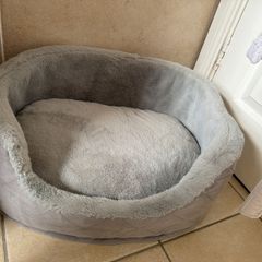 Cat bed