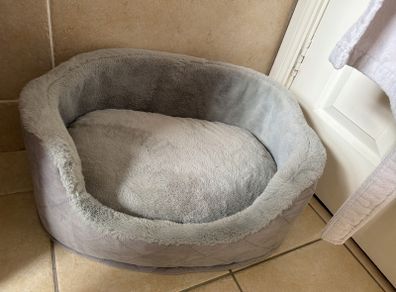 Cat bed