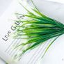 Artificial flower Image 3