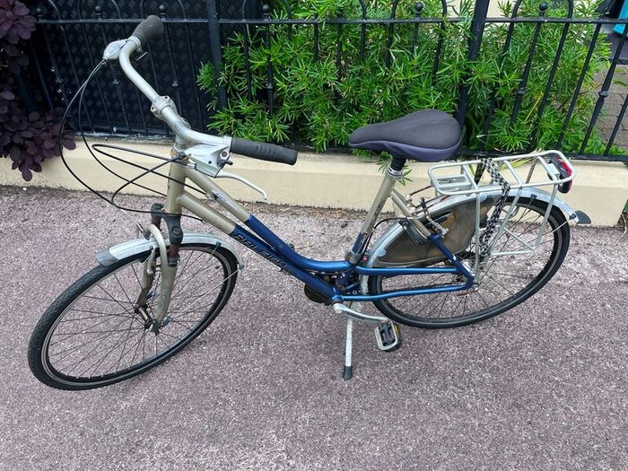 Vintage Ladies' Upright Bicycle