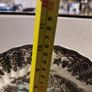 MYOTT Rare find  The Brook by Franciscan salad plate  and large wood plate holder. Image 3