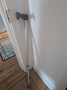 walking stick