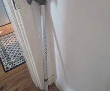 walking stick