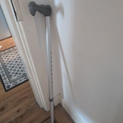 walking stick