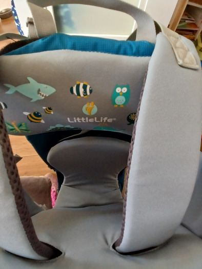 LittleLife Hiking baby/toddler carrier