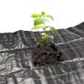 Heavy duty Weed Control fabric 2x10m Image 2
