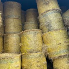 Straw