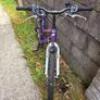 Acorn Serena Bike, 18 Speed Image 2