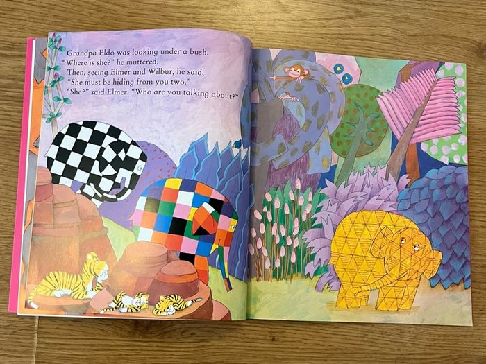 Elmer and Rose by David McKee